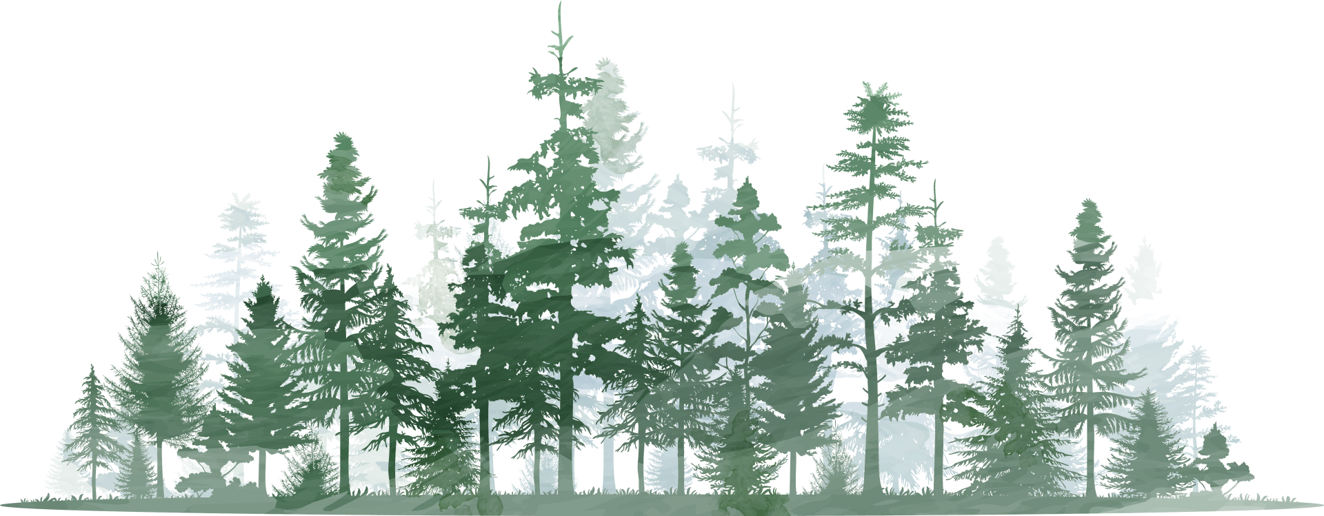 Green tree line, tall trees, short trees.